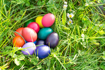 Fototapeta na wymiar Colored eggs in natural nest on the ground. Copy space.