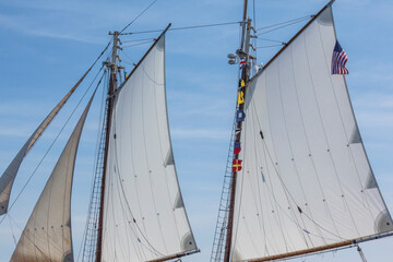 USA, Massachusetts, Cape Ann, Gloucester. Gloucester Schooner Festival, schooner sails.