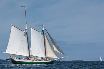 USA, Massachusetts, Cape Ann, Gloucester. Gloucester Schooner Festival, schooner parade of sail.