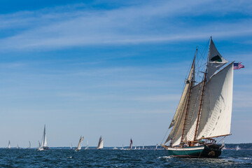 USA, Massachusetts, Cape Ann, Gloucester. Gloucester Schooner Festival, schooner parade of sail.