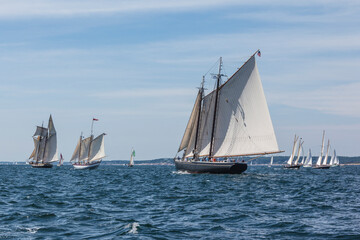 Fototapeta premium USA, Massachusetts, Cape Ann, Gloucester. Gloucester Schooner Festival, schooner parade of sail.