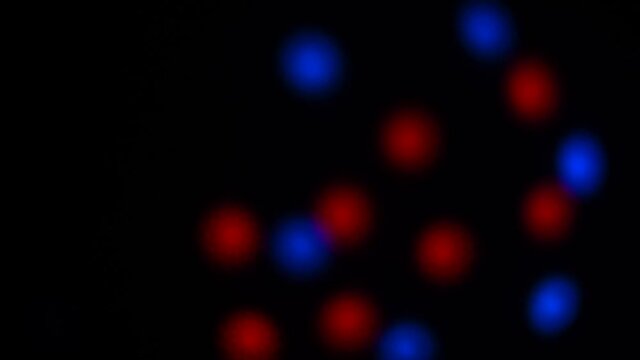 Abstract blurry, flashing light shapes bouncing on a black wall. Vivid, colourful disco light effects with different shapes, dots and forms are dancing on the wall