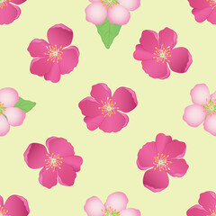 Vector seamless pattern with bright color spring flowers on a light background