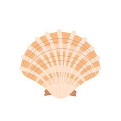 Seashell icon in beige color