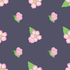 Vector seamless pattern with color, pink, spring flowers on a dark background