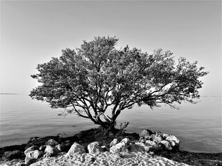 Key Biscayne - FL
By Rio