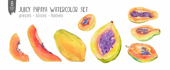 Fresh papaya watercolor set, halves, slices, bites. Handdrawn tropical fruits.