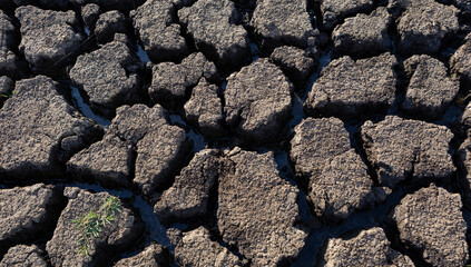 Earth cracked because of drought. The global shortage of water on the planet. Global warming concept.