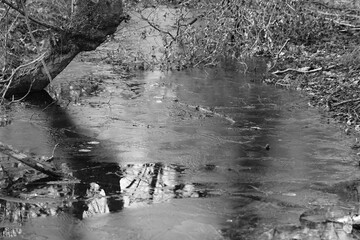river with ice in the woods