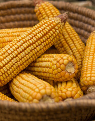 Corns in a traditional basket
