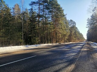 Obraz premium road in autumn forest