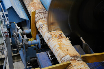 Wood processing at a sawmill. Preparation of a log for the production of plywood and veneer, sawing and cleaning of blanks in a woodworking plant, a technological line