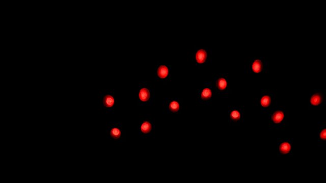 Abstract blurry, flashing light shapes bouncing on a black wall. Vivid, colourful disco light effects with different shapes, dots and forms are dancing on the wall