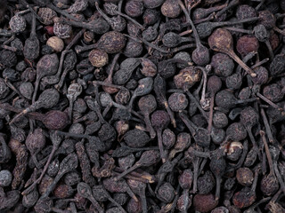 macro shot of  bourbon pepper from Madagaskar. in detail and with high magnification and very close. Ideal food and spice background