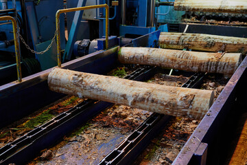 Wood processing at a sawmill. Preparation of a log for the production of plywood and veneer, sawing and cleaning of blanks in a woodworking plant, a technological line
