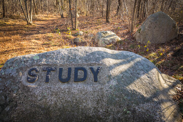 USA, Massachusetts, Cape Ann, Gloucester. Dogtown Rocks, inspirational saying carved on boulders in...