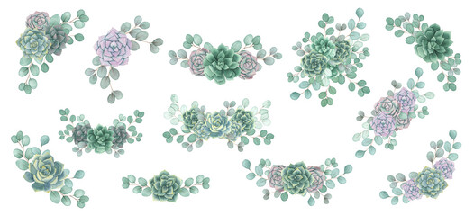 Watercolor succulents bouquets with eucalyptus leaves set. Hand drawn summer botanical design elements isolated on white. Greenery illustrations for floral wedding invitation, greeting cards, logo.