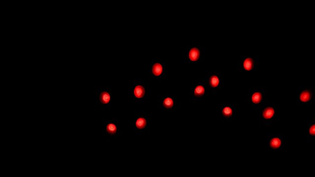 Abstract blurry, flashing light shapes bouncing on a black wall. Vivid, colourful disco light effects with different shapes, dots and forms are dancing on the wall