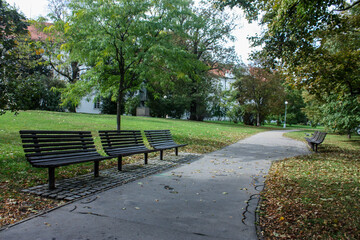 bench in the park