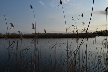 River in windy weather.