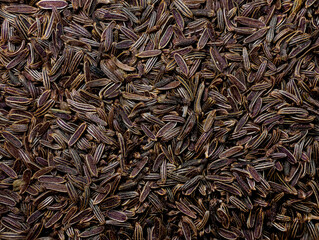 macro shoot and top view of  cumin caraway from Turkey in details with high magnification very close. Ideal food and spice cumins background