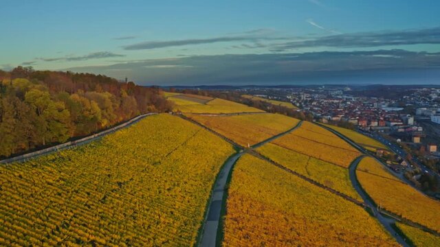 Aerial view, flight at golden vineyards in autumn from above, region Mainfranken,W&uuml;rzburg, Germany