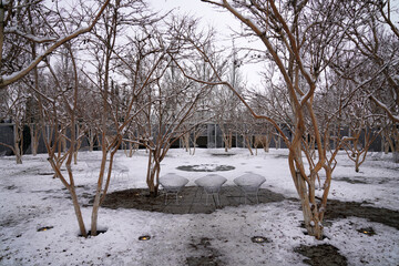 winter park of the city of Krasnodar 