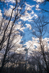 USA, Massachusetts, Cape Ann, Gloucester. Dogtown Commons, view of the wind turbines.