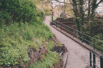 Photo of a city Park with a paved path and a bench