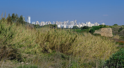 Fototapeta na wymiar Town of Netanya skyline as seen from Nahal Poleg Nature reserve, in Sharon region, Central Israel, Israel.