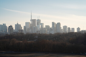 Toronto City Skyline on a sunny day from Riverdale Park