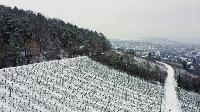 Aerial View Of Vineyards Mainfranken region, W&uuml;rzburg, Germany. Vineyards on hills covered with 