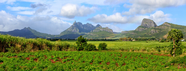 Insel Mauritius, im Hintergrund die Berge der Insel, im Vordergrund ein Feld, Panorama.