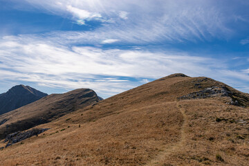 landscape in the mountains