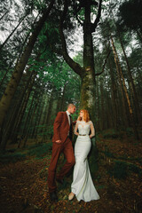 The bride and groom go through the forest hand in hand. Happy bride and groom holding hands and walking in forest on wedding day.