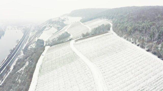 Aerial View Of Vineyards Mainfranken region, W&uuml;rzburg, Germany. Vineyards on hills covered with 