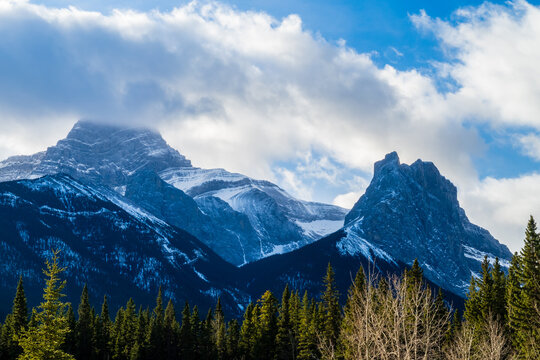 Forest and mountain view in Jasper national park, Canada