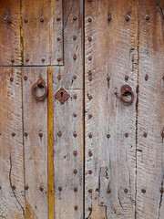 Wooden Door Texture