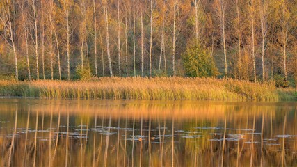 reflection in the water