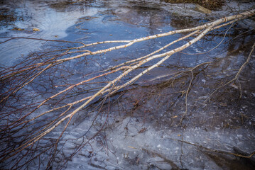 USA, Massachusetts, Cape Ann, Gloucester. Frozen pond.