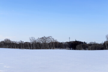 北海道の雪景色