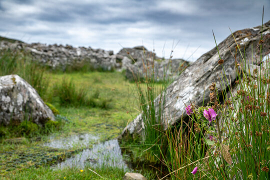 Republic of Ireland, County Donegal, Grass growing around megalithic Cloghanmore tomb