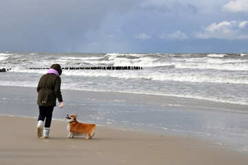Spring landscape of the Baltic Sea in early March 2021. The owner walks with a Welsh Corgi dog on the beach.