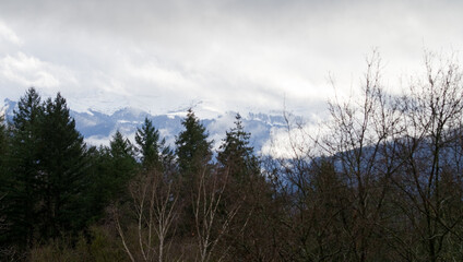 Montagnes enneigées
