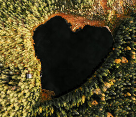 Areal view of heart shaped lake amidst pine trees in forest