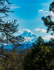 Mt. Hood