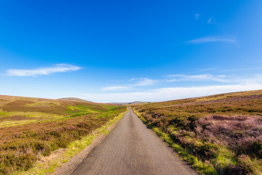 UK, Scotland, East Lothian, Road through wetland