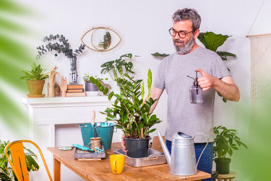 Man spraying water on Zamioculcas Zamiifolia potted plant while standing at home