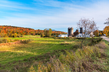 Fototapeta na wymiar Rural landscape in Vermont with farm buildings along an unpaved road on a sunny autumn day. Stunning fall foliage.