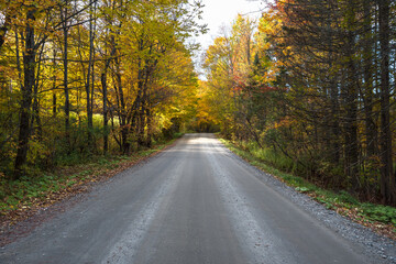 Fototapeta na wymiar Deserted stretch of a back road through an autumn forest in the countryside of Vermont